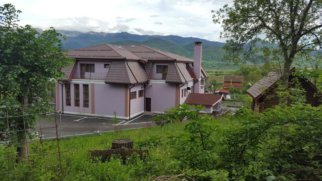 Pensiunea Osencuta Tălmaciu Exterior foto