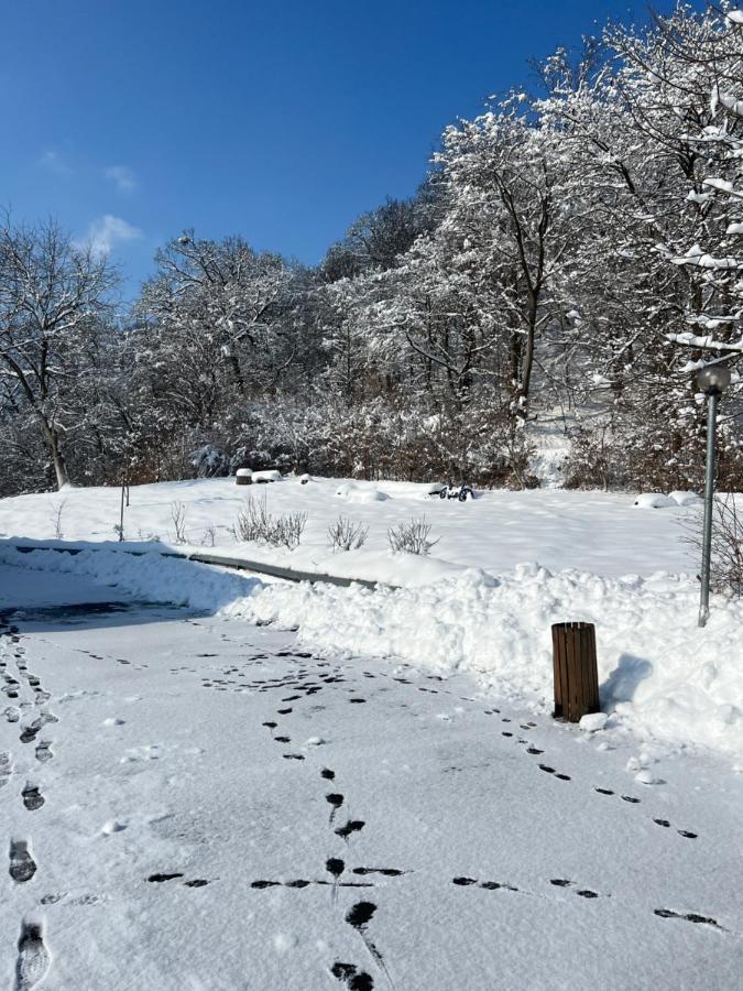 Pensiunea Osencuta Tălmaciu Exterior foto