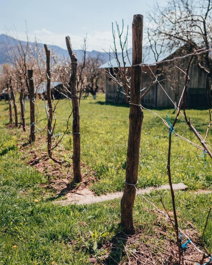 Pensiunea Osencuta Tălmaciu Exterior foto