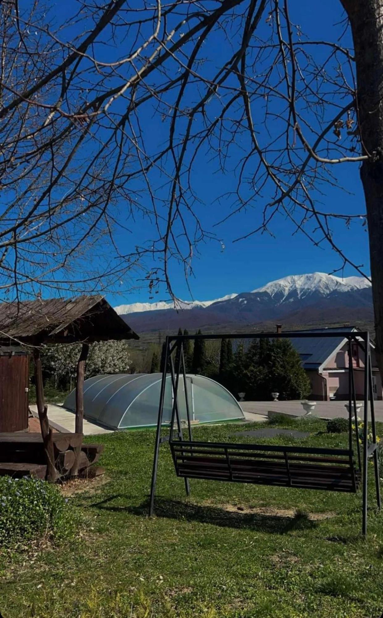 Pensiunea Osencuta Tălmaciu Exterior foto